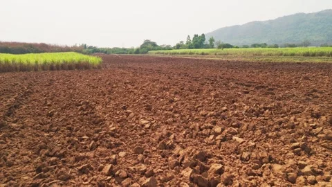 Climate Smart Agriculture CSA transform agribusiness challenge for ESG SDGs.. Stock Footage 337857722