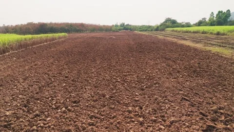 Climate Smart Agriculture CSA transform agribusiness challenge for ESG SDGs.. Stock Footage 337857725