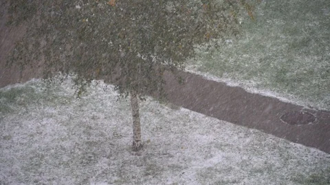 Climate, snow in middle of hot day! paradox of climate. first snow in fall. Stock Footage 117724002