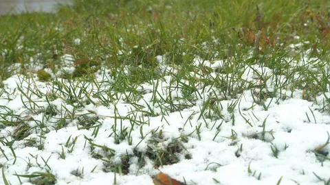 Climate, snow in middle of hot day! paradox of climate. first snow in fall. Vídeo Stock 117724379