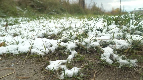 Climate, snow in middle of hot day! paradox of climate. first snow in fall. Stock Footage 117724399