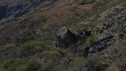 CLIMB Stockbeeldmateriaal 224097839