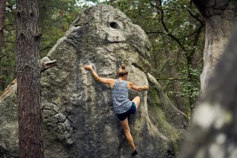 Climber ascends a large boulder in a forested area during daylight hours Stock Photos