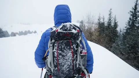Climber with backpack at snowfall in the forest Video stock 166034661