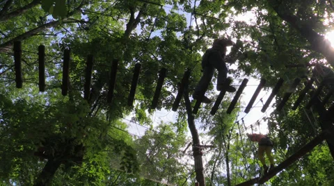 Climber move the ladder stretched between trees in the amusement rope park. Stock Footage 39003886