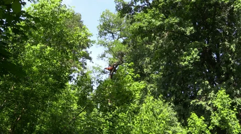 Climber move the ladder stretched between trees in the amusement rope park. Stock Footage 39160132