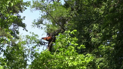 Climber move the ladder stretched platform on tree in the amusement rope park. Stock Footage 39007742