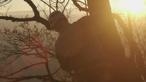 A climber pulls a rope at sunset, a man ties a climbing rope Stock Footage 171636507