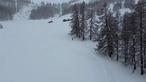 Climber in snowy forest in winter Video stock 301637480