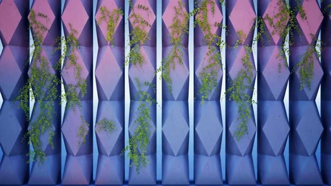 Climber Vines on a Concrete Wall Close-Up Stock Footage 197286117
