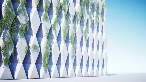 Climber Vines on a Concrete Wall Side View Stock Footage 197285994