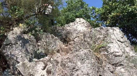 Climber walking down Stock Footage 56894802