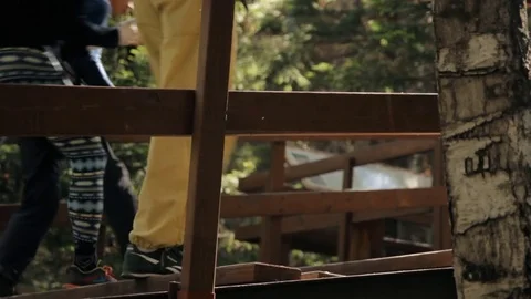 Climbers go along the forest path. 動画素材 85132330