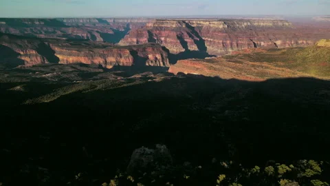 Climbing above the trees overlooking a large desert canyon Stock Footage 157435331