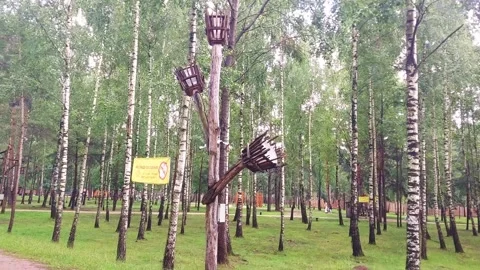 Climbing activity takes place in a forest area with trees and wooden structures Stock-Footage 325052701