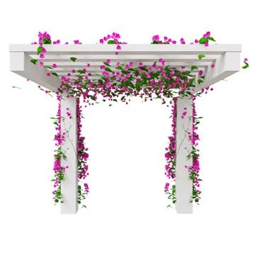 Climbing flowers on pergola Stock Illustration
