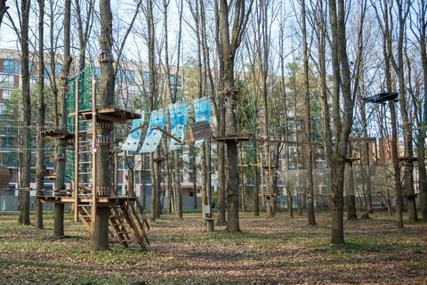 Climbing Forest Stock Photos