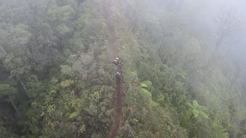Climbing with friends Stock Footage 260827846