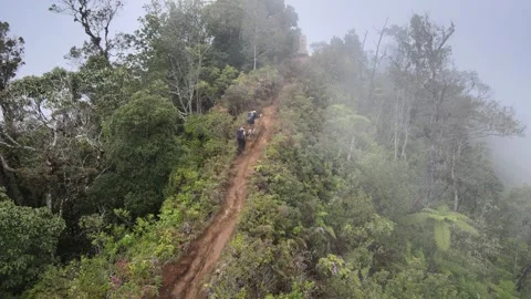Climbing with friends Stock Footage 260827867