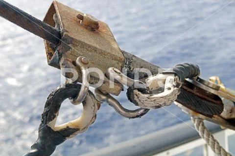 Climbing harness rigged on a carabiner in trade ship Stock Photos