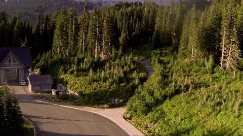 Climbing higher over the forest Video stock 42526140