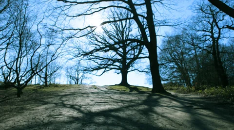 Climbing up a hill Stock Footage 36036008