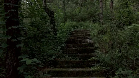 Climbing up a hill on stone steps in a forest, gimbal shot Stock Footage 137931237