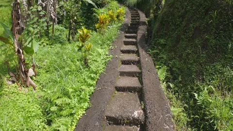 Climbing Jungle Steps in Bali – First Person View in 4K Stock Footage 311507571