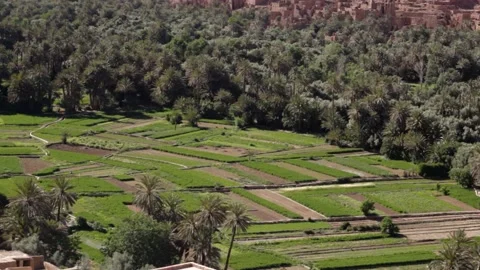 Climbing moroccan cliffs Stock Footage 134701654