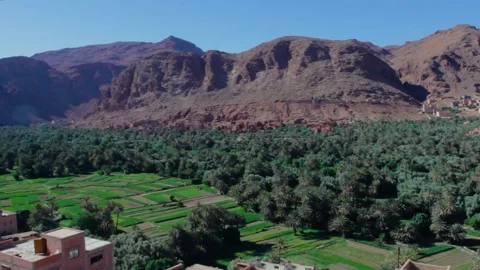 Climbing moroccan cliffs Stock Footage 134704445