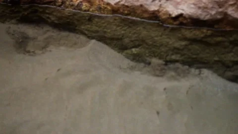 Climbing moroccan cliffs Stock Footage 134705735