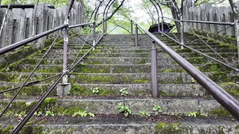 Climbing Moss-Covered Steps on Rainy Day Stock Footage 324801906