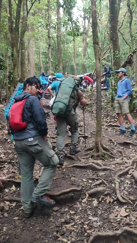 Climbing Mount Gede, West Java, Indonesia Stock-Footage 244335390
