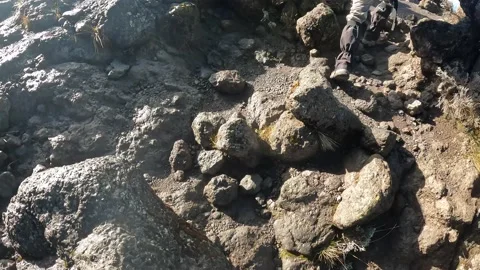 Climbing the mountain rocky path. First-person view. Sunny morning Stock-Footage 169224519