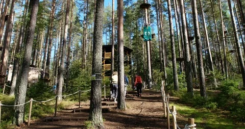 Climbing park "Nut" Stock Footage 88995455