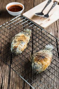 Climbing perch Stock Photos