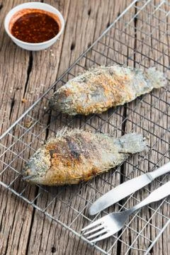 Climbing perch Stock Photos