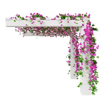 Climbing plant flowers, side view Stock Illustration