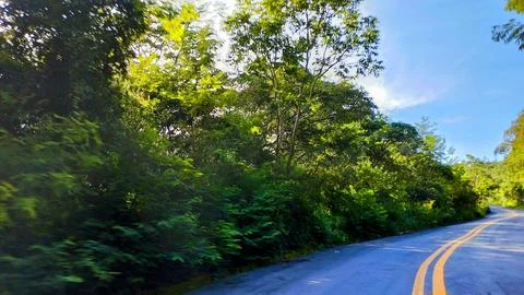 Climbing road lined with trees Stock Photos