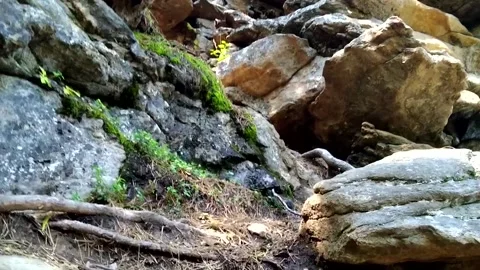 Climbing the rock Stock Footage 160807189