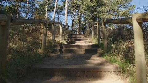 Climbing stairs in dunes Stockbeeldmateriaal 237754196