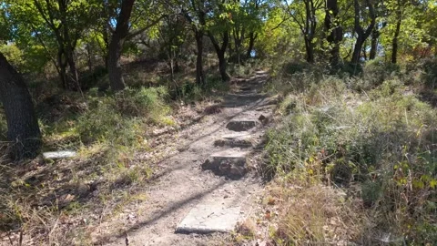 Climbing the steps up a hill with olive trees Stock Footage 347274536