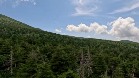 Climbing up a sunny mountain slope Stock Footage 246669167