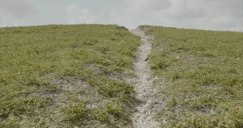 Climbing  towards the top of a hill Stock Footage 92198223