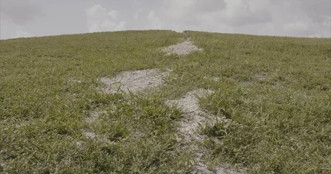 Climbing  towards the top of a hill Stock Footage 92198792
