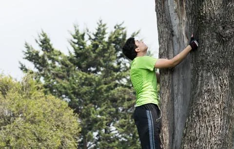 Climbing the tree Stock Photos