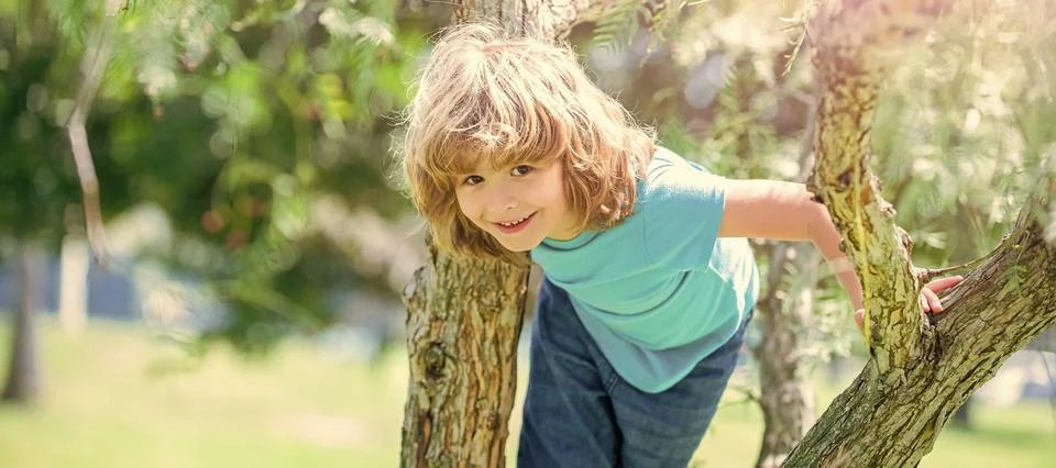 Climbing trees is always fun. Active boy child climb tree. Childhood fun. Summer Stock Photos