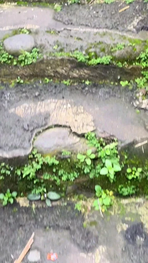 Climbing Weathered Steps in Quiet Outdoor Setting Stock Footage 333307093