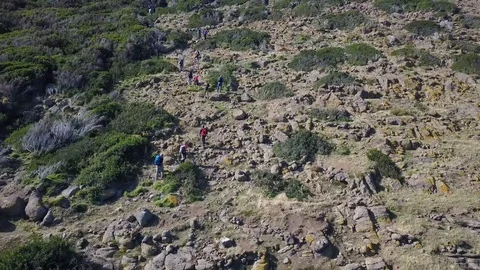 Climbs Mountain Video stock 128571931