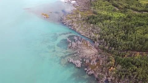 Cline River Alberta Waters Edge Push 스톡 동영상 344831299